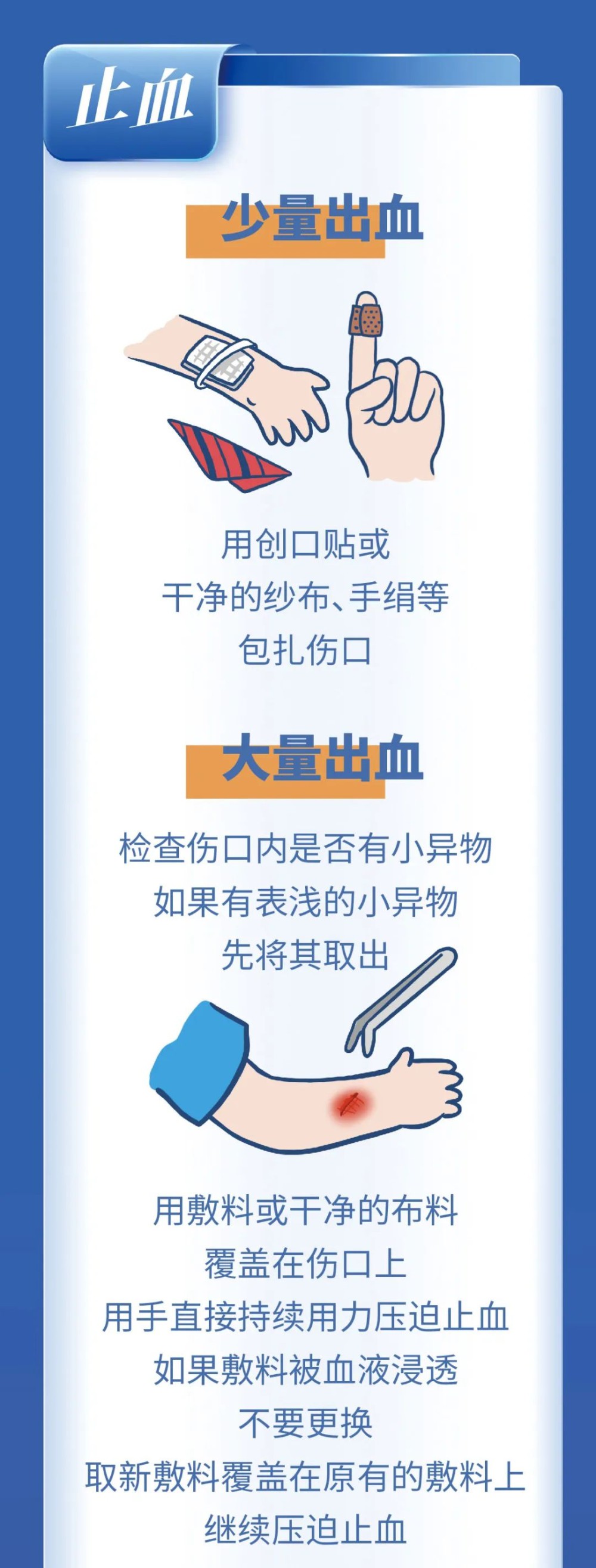 图片51.png