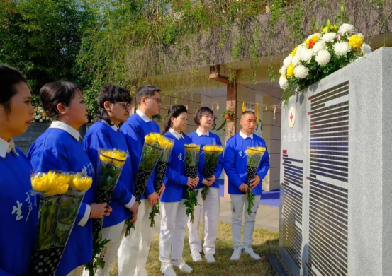 图片246.png