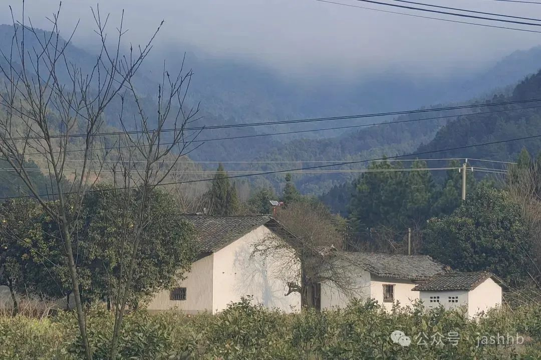 图片250.png