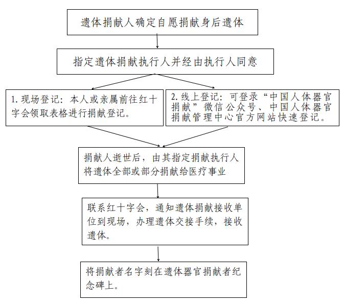 遗体捐献流程图.jpg