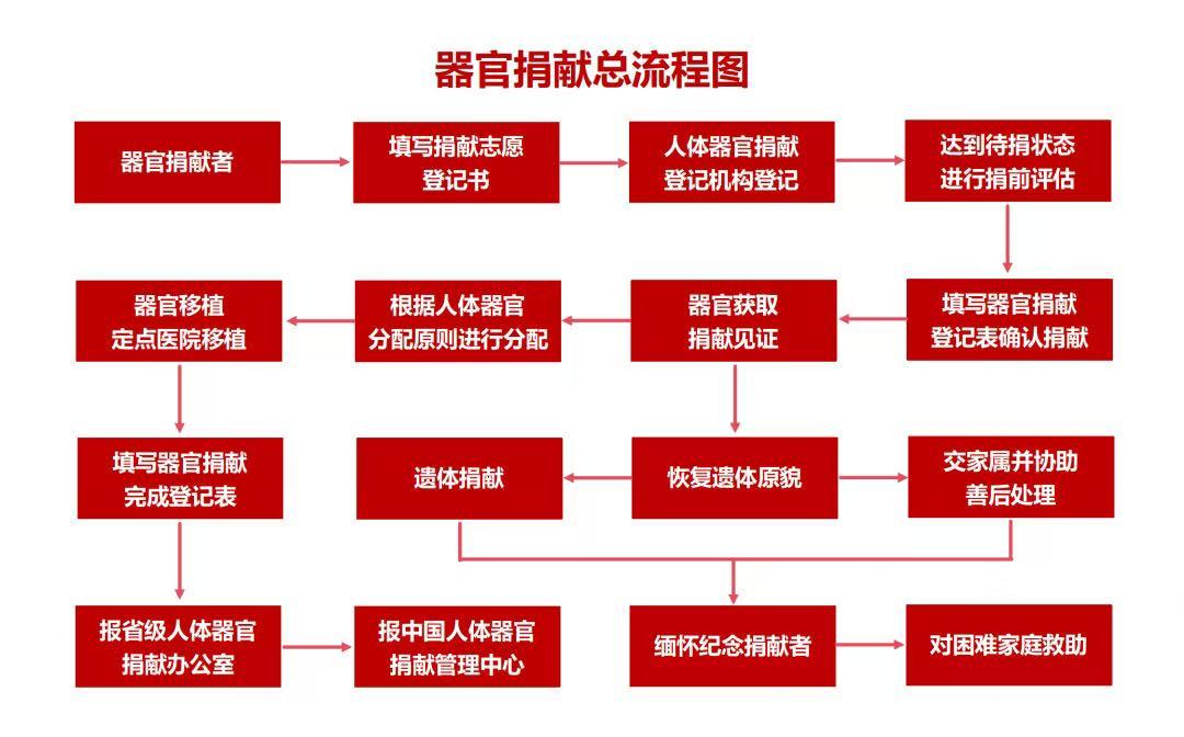 器官捐献流程图.jpg
